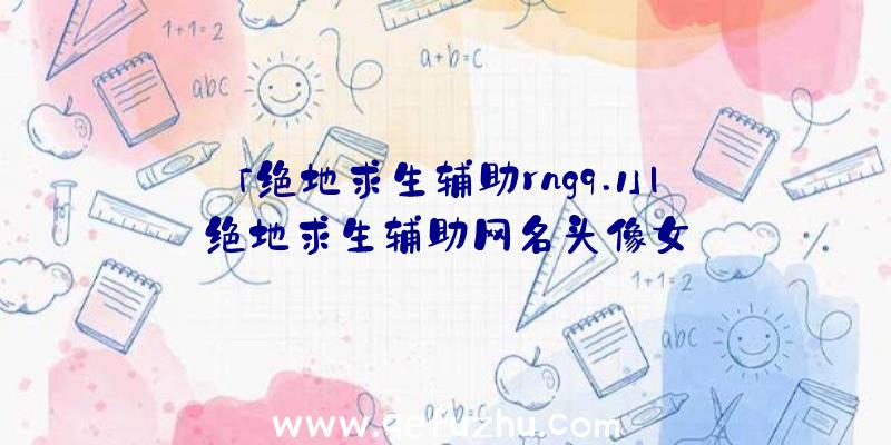 「绝地求生辅助rng9.1」|绝地求生辅助网名头像女